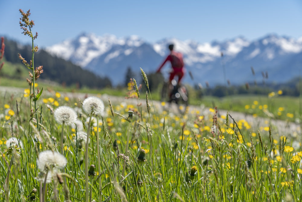 AlpenPower - Ehrliche Qualität aus Österreich
