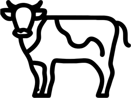 Aus Weidehaltung